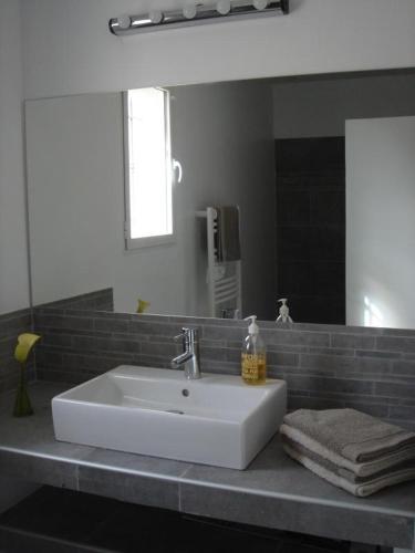 a bathroom with a white sink and a mirror at Le mas saint augustin in La Crau