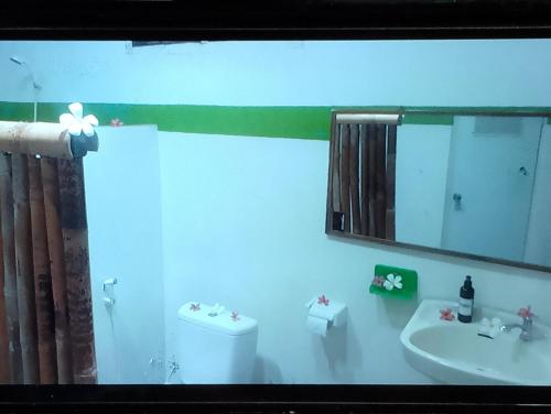 a bathroom with a sink and a toilet and a mirror at fulles guest house in Gili Trawangan