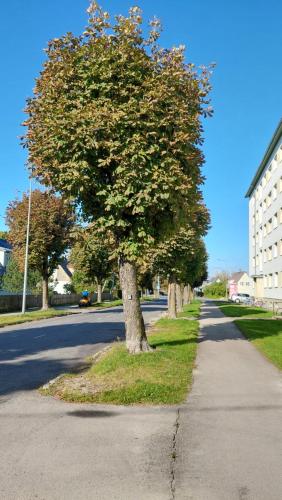 Fotografie z fotogalerie ubytování Mugav korter 2-le, kr 41 v destinaci Haapsalu
