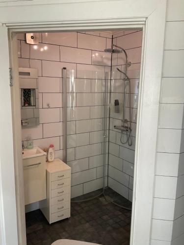 a bathroom with a shower and a sink at Brinken 3 in Sörberge