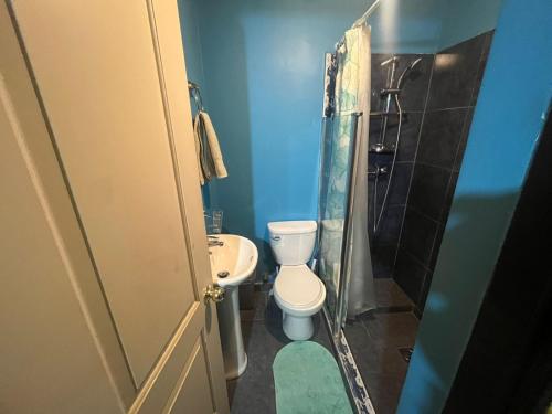 a bathroom with a toilet and a sink and a shower at Estrella Ancestral 1 in San Pedro de Atacama