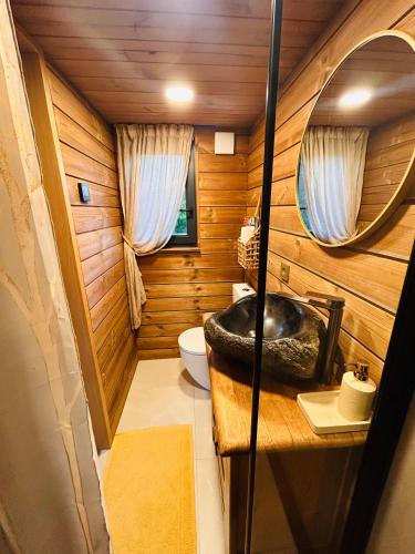 un bagno con lavandino e WC di Baltrozes ad Ādaži