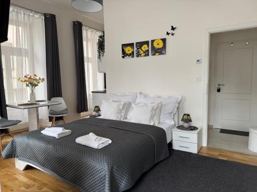 Praha 1 Florenc Hlavní mesto Romantic Apartments