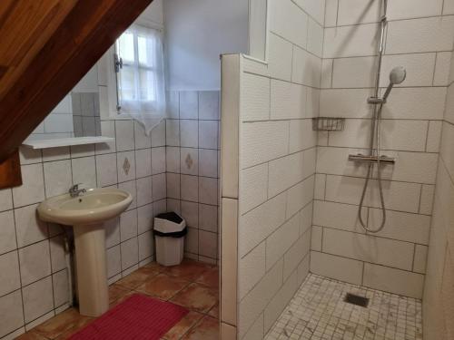 a bathroom with a shower and a sink at COSY Montagne in Cilaos
