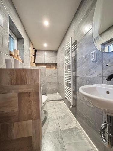 a bathroom with a sink and a toilet at Dom na Záhumní in Krpeľany