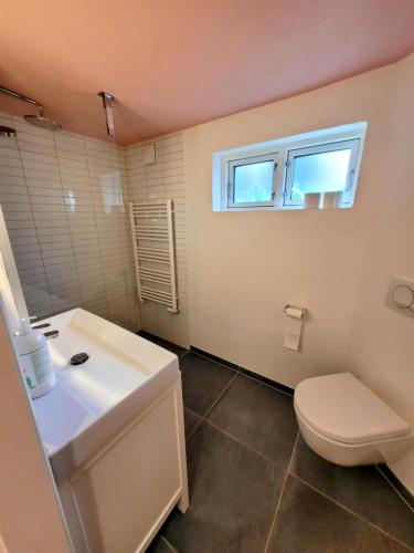 a bathroom with a sink and a toilet and a window at Villa Fuga kælderlejlighed in Jelling