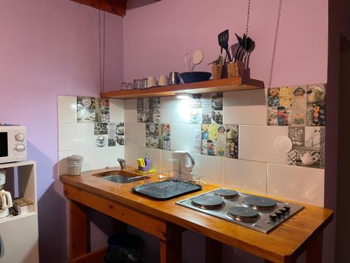 una cocina con fregadero y encimera en Cabaña Familia de Campo 3, en El Chaltén