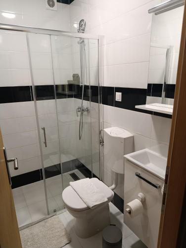 a bathroom with a shower and a toilet and a sink at Luxury suites Marušić sobe in Brodski Varoš