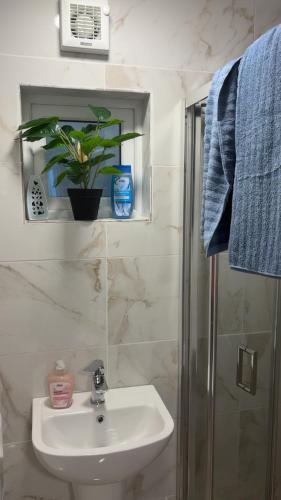 a bathroom with a sink and a shower with a plant at O'Briens Luxury Studio City Centre in Galway