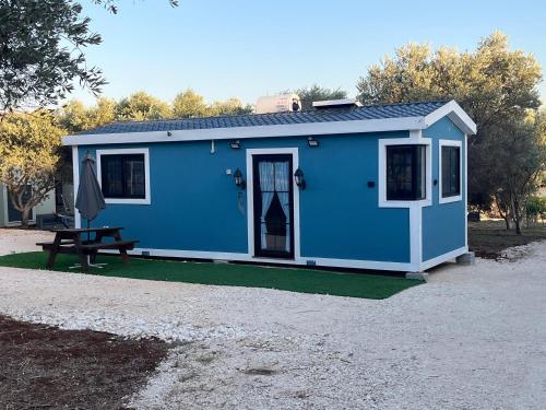 a blue tiny house with a picnic table next to it at הבקתה של גדי in Kfar Yehezkel