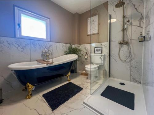 a bathroom with a tub and a shower and a toilet at Maison de L'Olivier in Saint-André-et-Appelles