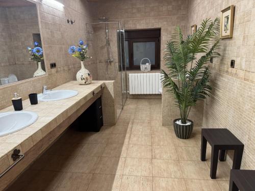 a bathroom with two sinks and a potted plant at El Almendro del Cura in Villarmayor