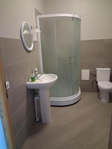 a bathroom with a sink and a shower and a toilet at Šiluvos Svaja in Šiluva