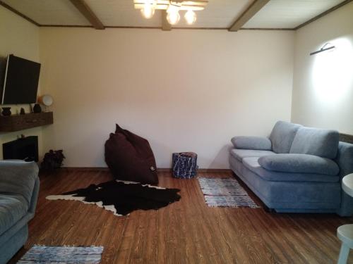 a living room with a couch and a dog laying on the floor at Country House Kosiv in Kosiv