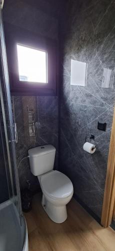a small bathroom with a toilet and a window at DuoDomkyTa3 in Spišská Belá