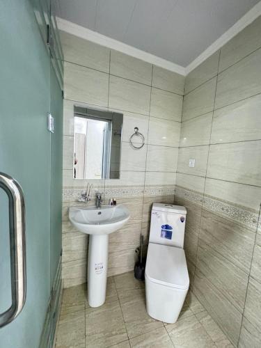 a bathroom with a sink and a toilet at Old Saroy Hotel in Samarkand