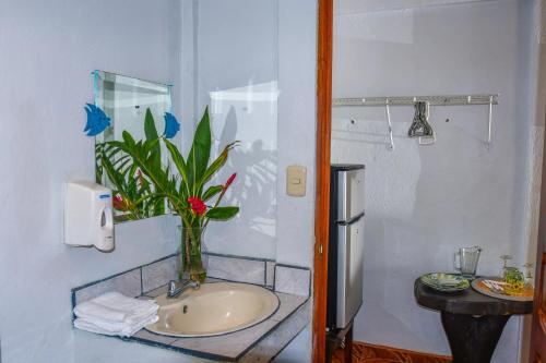 a bathroom with a sink and a vase with a plant at Cabinas Bahía Uvita - Marino Ballena National Park Lodge in Uvita