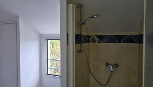 une douche avec pommeau de douche dans une salle de bain dans l'établissement L'Ecrin - Duplex proche du CHU, à Saint-Denis
