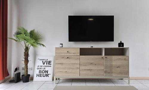 Télévision ou salle de divertissement dans l'établissement L'Ecrin - Duplex proche du CHU