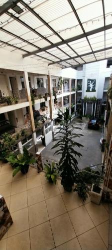 a room filled with lots of potted plants in a building at Hotel Las Gardenias in Cataltzul