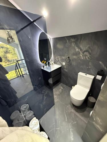 a bathroom with a white toilet and a mirror at Agropensiunea TreiFrati in Dărcăuţi
