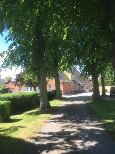 a tree lined driveway in front of a house at Lindenhof in Grömitz