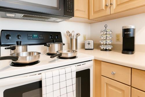 a kitchen with two pots on a stove at Spacious Loft with Fireplace - near CSU, Playhouse, Progressive field, R&R Hall of Fame with Gym & Sauna and Sleeps 12 in Cleveland
