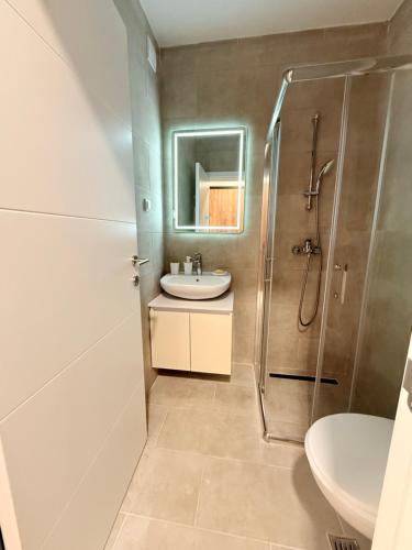 un baño con lavabo y ducha en Apartment UNA, en Pančevo