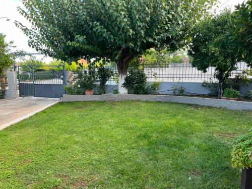 a green yard with a tree and a fence at H&V suite home in Paralía Avlídhos