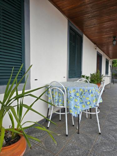 Paz House