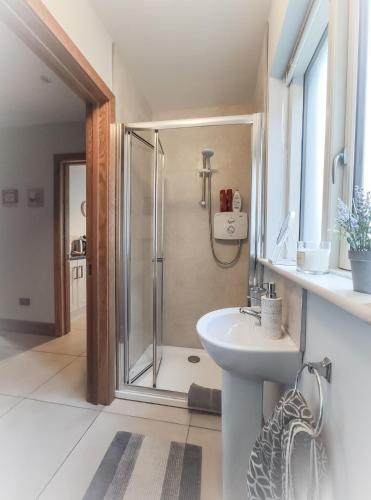 a bathroom with a shower and a sink at Alder House Studio in Killarney