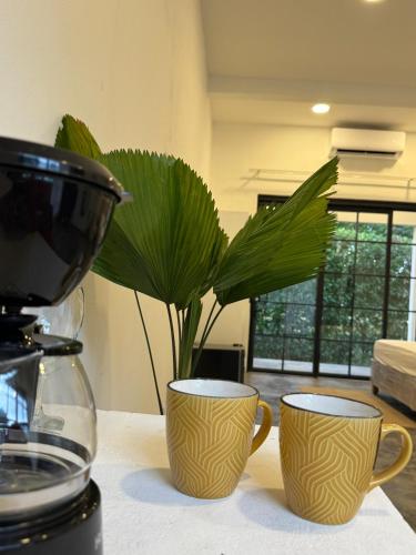 two coffee cups sitting on a table with a plant at Cabañas Campestres, habitacion Villavicencio in Villavicencio