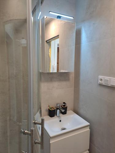 a bathroom with a sink and a mirror at UH byt 15 in Uherské Hradiště