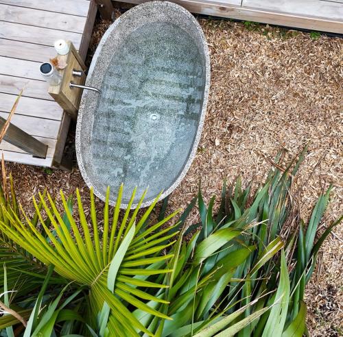 a skateboard sitting on the ground next to a plant at Hahei Tiny Home - Outdoor Bath in Hahei