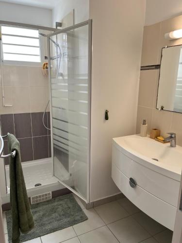 a bathroom with a shower and a sink at Fleur de Paradis in Saint-François
