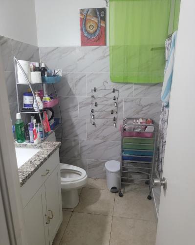 a bathroom with a toilet and a green cabinet at PalmBeachLake&PoolFrom69dollarsForPersonDayly 