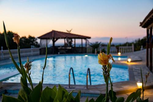 El Paraiso Premium