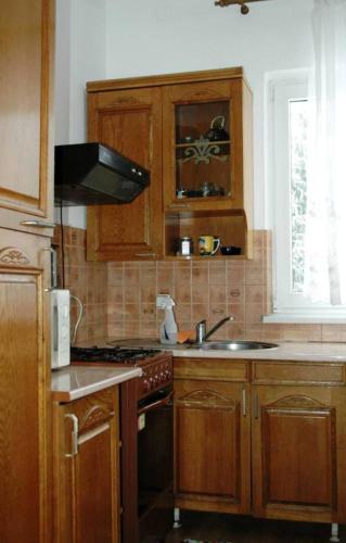 a kitchen with wooden cabinets and a sink and a stove at Șoaptele pădurii & Căsuța din pădure in Suceviţa