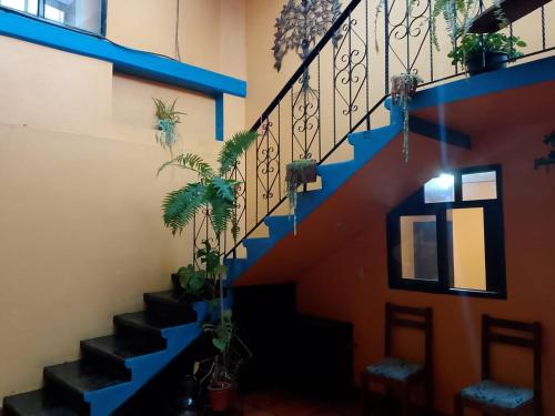 Afbeelding uit fotogalerij van Casa Josvic in San Cristóbal de Las Casas