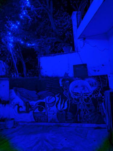 aivedivedivedivedivedivedivedivedivedivedivedivedivedblue at Anand hostel in Pushkar