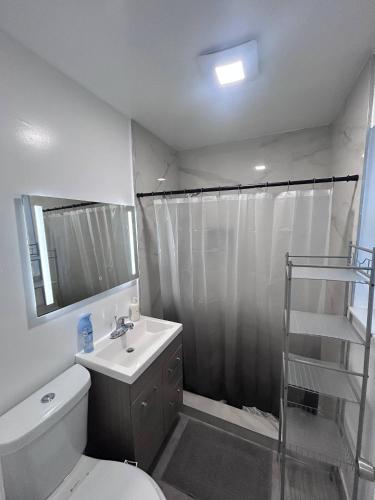 a bathroom with a toilet and a sink and a shower at Place to stay in Hallandale Beach