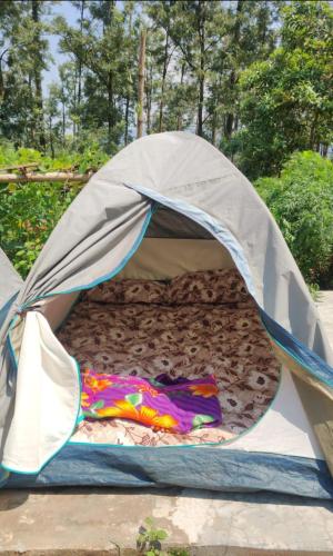 Fotografie z fotogalerie ubytování Pickurstay vbss camping hub v destinaci Pāderu