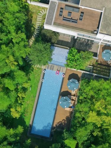 an overhead view of a swimming pool with chairs and trees at Nian hotel & resorts in Huzhou