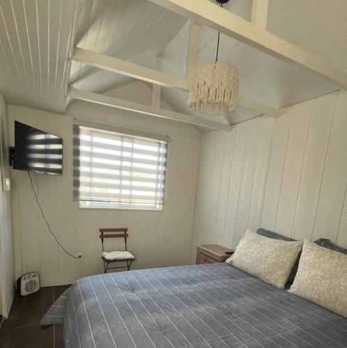 a bedroom with a bed and a chandelier at Hostal Abrazo de Maipu in Santiago