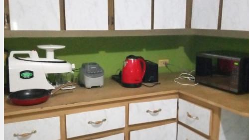 Gallery image of Nature Lodge in Portland in Port Antonio