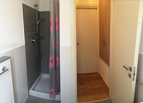 y baño con ducha y puerta trasera. en Anna Apartments, en Castro