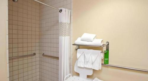 a bathroom with a shower and a toilet and towels at Flagstaff Hotel in Flagstaff
