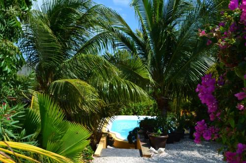 a pool in a garden with palm trees and flowers at Jan Kok Lodges in Willibrordus