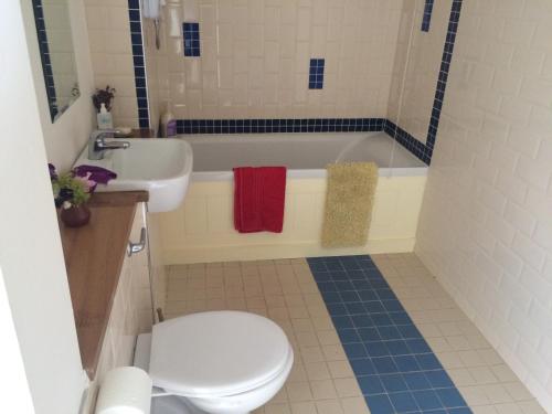 a bathroom with a toilet and a sink and a tub at Blackstairs Shepherds Huts in Killedmond