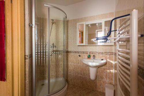 a bathroom with a sink and a toilet and a shower at Apartment Andre in Uherské Hradiště